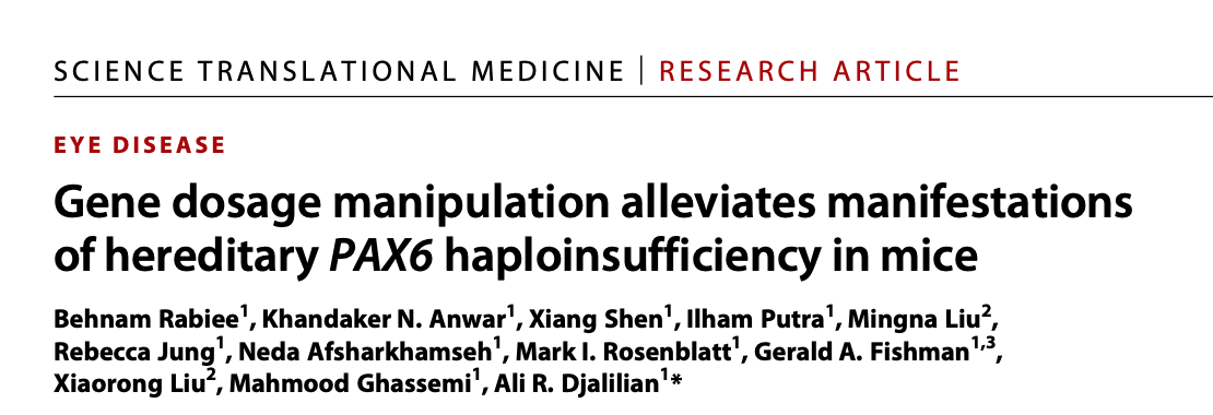 Cornea Health and Aniridia: Gene dosage manipulation alleviates manifestations of hereditary PAX6 haploinsufficiency in mice