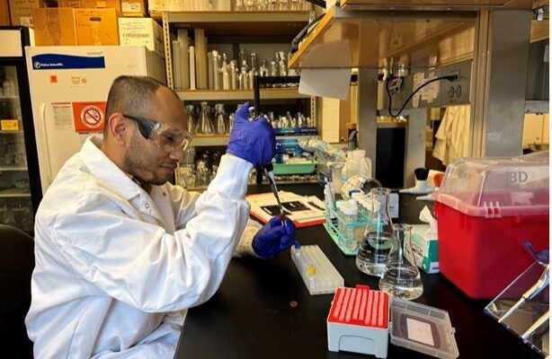 Working to Preserve Long Term Vision for Aniridia – Understanding Why Pax6 Mutations Cause Aniridic Keratopathy